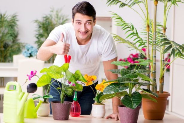 Paulo Augusto Berchielli