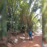 Eloizio Gomes Afonso Duraes