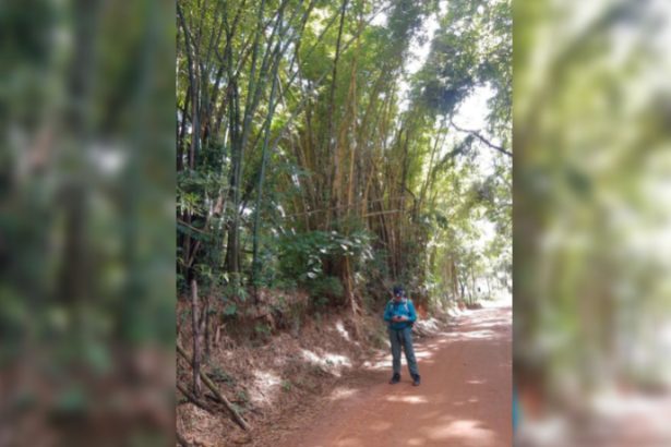 Eloizio Gomes Afonso Duraes