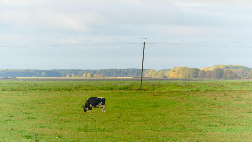 Aldo Vendramin explica que o associativismo rural fortalece gestão, acesso a mercado e poder de negociação.