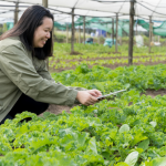 IoT e rastreabilidade no agronegócio, na análise de João Eustáquio De Almeida Junior, mostram como a tecnologia conecta eficiência, confiança e valor ao longo da cadeia.