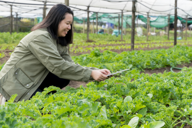 IoT e rastreabilidade no agronegócio, na análise de João Eustáquio De Almeida Junior, mostram como a tecnologia conecta eficiência, confiança e valor ao longo da cadeia.
