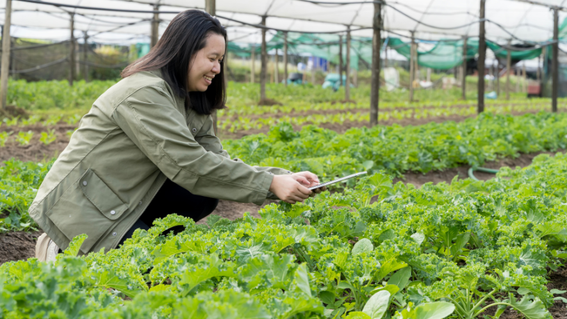 IoT e rastreabilidade no agronegócio, na análise de João Eustáquio De Almeida Junior, mostram como a tecnologia conecta eficiência, confiança e valor ao longo da cadeia.