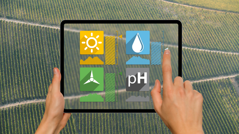 No agronegócio, João Eustáquio De Almeida Junior analisa como IoT e rastreabilidade integram dados para gerar eficiência operacional, credibilidade e valor.