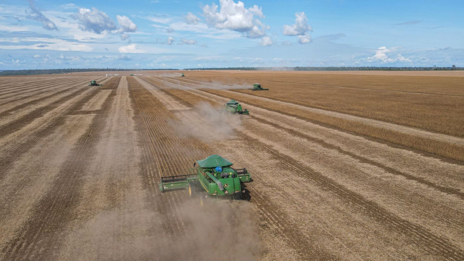 Colheitadeiras trabalham em uma extensa plantação de soja no Brasil.