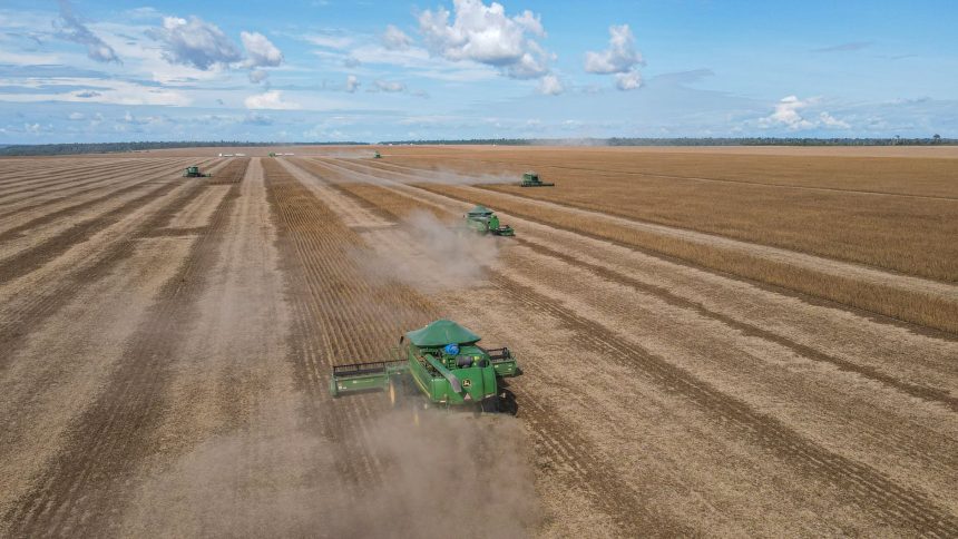 Colheitadeiras trabalham em uma extensa plantação de soja no Brasil.